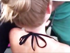 巨大的亚洲雀 bvr