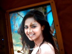 巨大的山雀摩伊珠宝玉石获取大的酒保公鸡